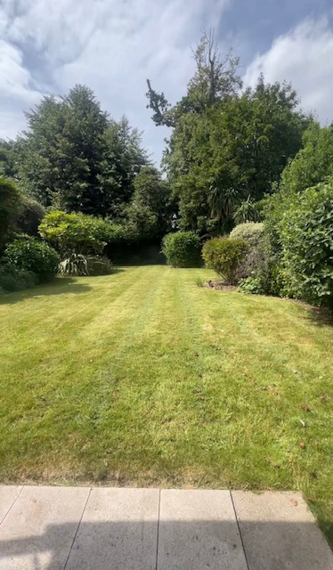 Mown garden lawn surrounded by mature trees and shrubs