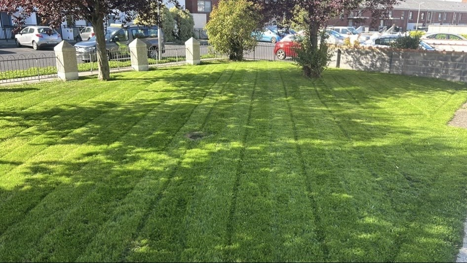Striped freshly mown front lawn with mature trees